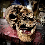 Human skull