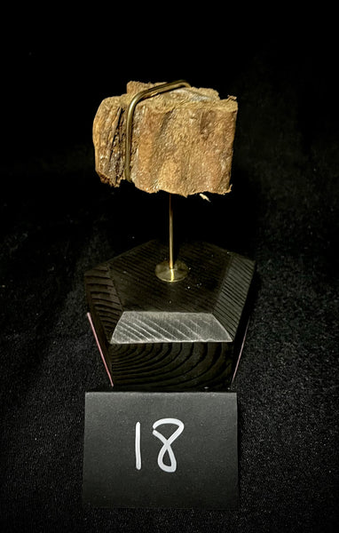 Item 18. Mummified arm slice stand
