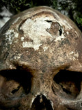 A human skull