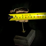 Item 18. Mummified arm slice stand