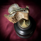 Mummified human leg slice