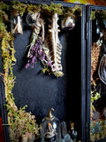 Taxidermy fruit bat apothecary box