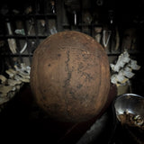 Human skull