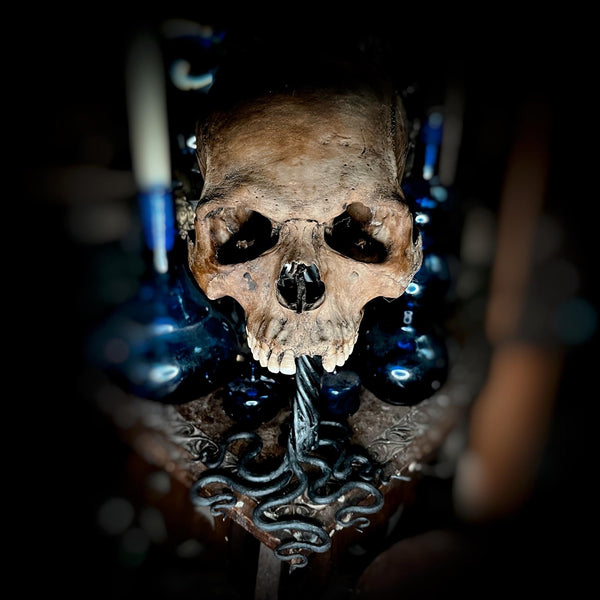 A Human skull (with custom made steel stand)
