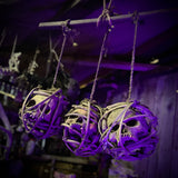 African Tribal Suspended Ancestral Shrine Skulls