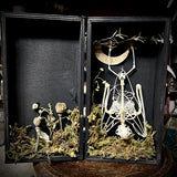 Fruit Bat Skeleton - Curio Box