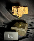 Item 12. Mummified arm slice