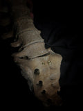 Articulated human spine