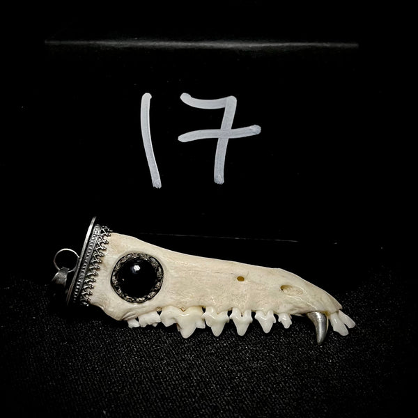 Item 17. Fox mandible pendant