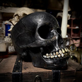 Brass tooth skull