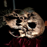 A human skull