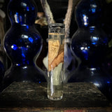 Medically preserved human penis