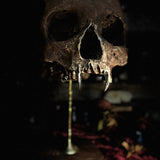 Vampire skull on stand