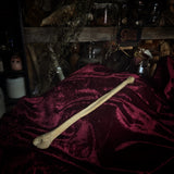 Adam Rouilly Human fibula (lower leg bone)