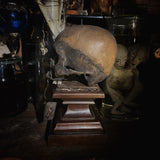 Dayak style skull