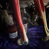 Medically Articulated (Right) Human Leg & Foot