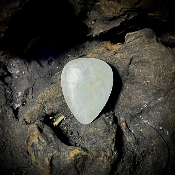 Human femur guitar pick
