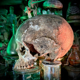 Human skull *COMPETITION*