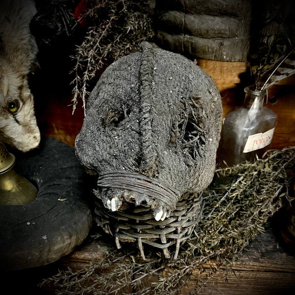 African tribal human skull