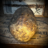 Human skull