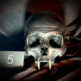Item 5. Vampire skull