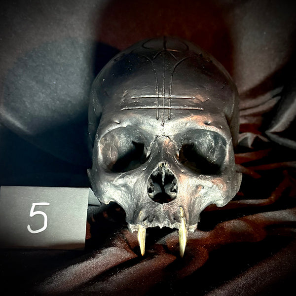 Item 5. Vampire skull