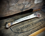 Human tibia (shinbone)