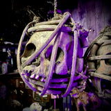 African Tribal Suspended Ancestral Shrine Skulls