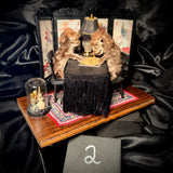 Item 2. Seance cats