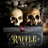 Human skull OR Mystery box