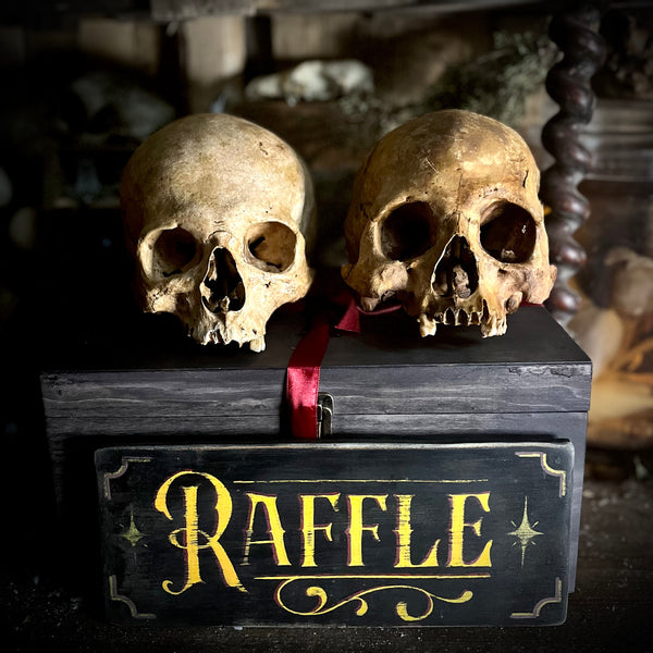 Human skull OR Mystery box