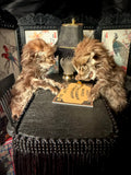 Item 2. Seance cats