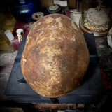 Human skull