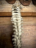 Articulated human spine
