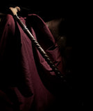 Human Femur Walking Cane