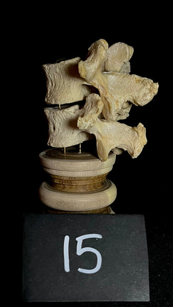 Item 15. Double vert stand