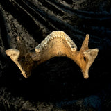 A mandible