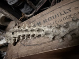 Articulated human spine