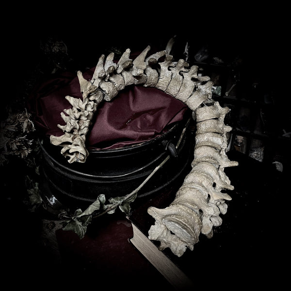 Articulated human spine