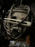 Human femur hair pin