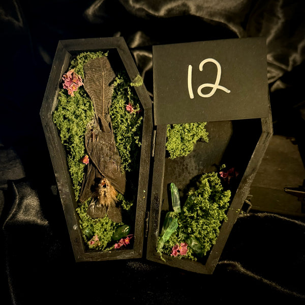 Item 12. Taxidermy bat coffin