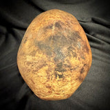 Item 11. Human skull