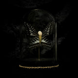 “Tooth Fairy” in a glass dome