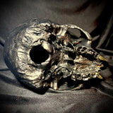 Item 5. Vampire skull