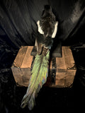 Item 12. Taxidermy magpie