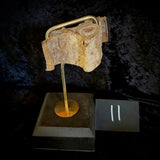 Item 11. Mummified human arm slice