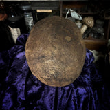 Human skull