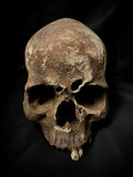 A human skull