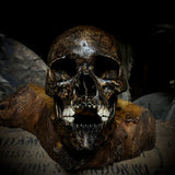 Human skull with mandible