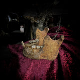 A mandible